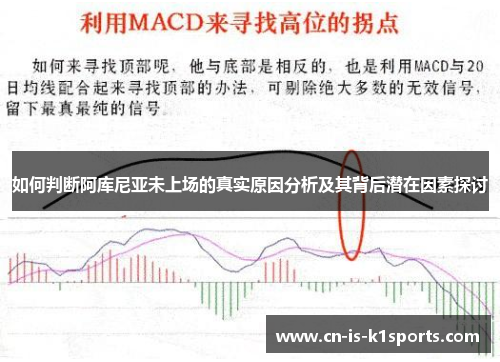 如何判断阿库尼亚未上场的真实原因分析及其背后潜在因素探讨